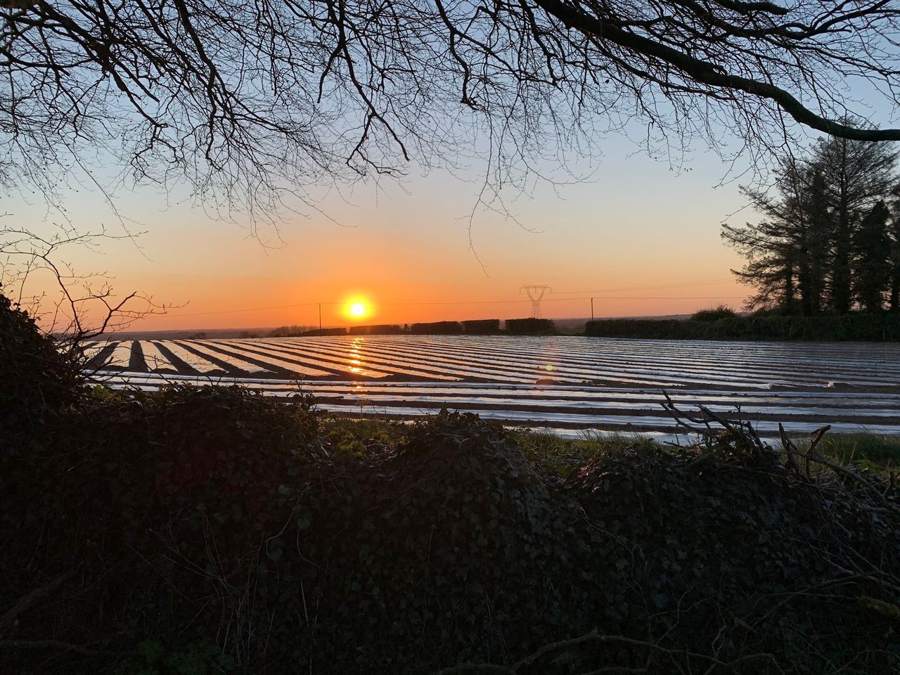 The sun sets on Arable April...is the tillage future bright?