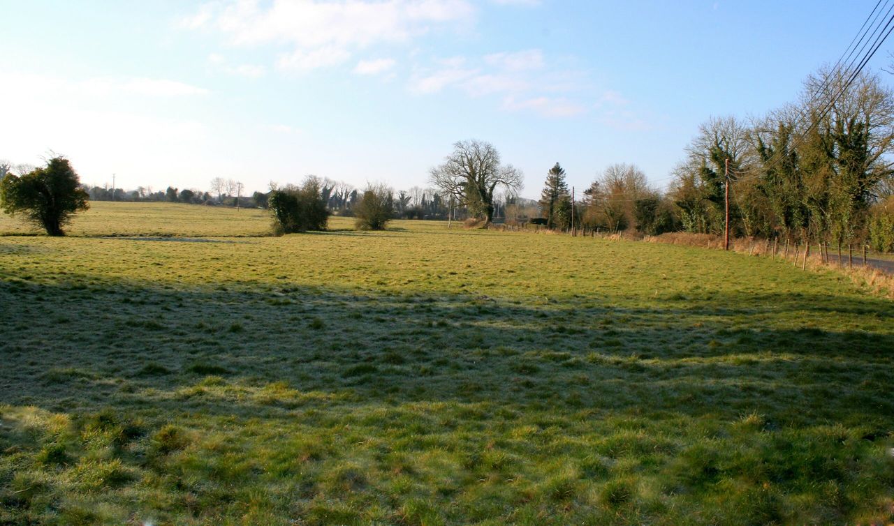 'Superb farm and lands' for sale in 3 lots in Co. Meath