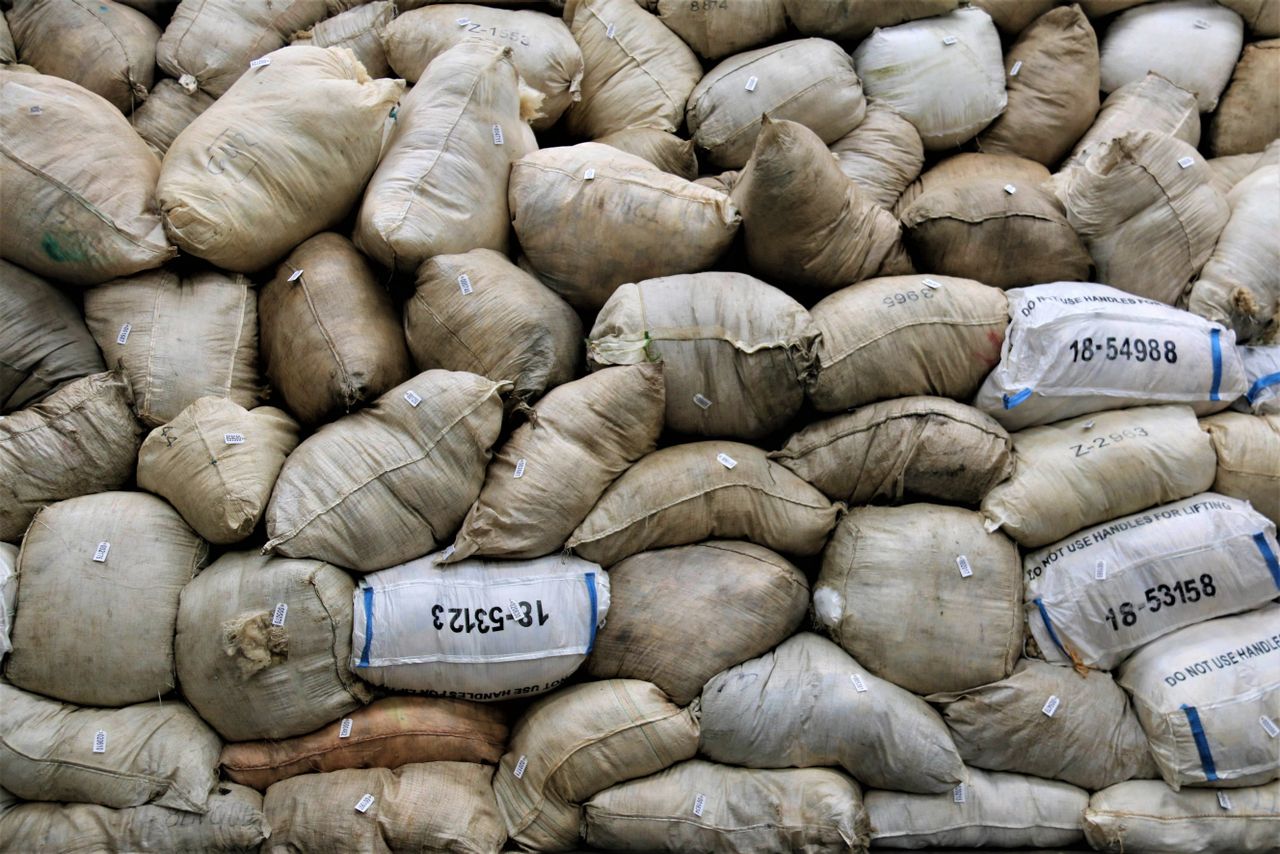 Sweden moves to roll out grading standard for sheep wool
