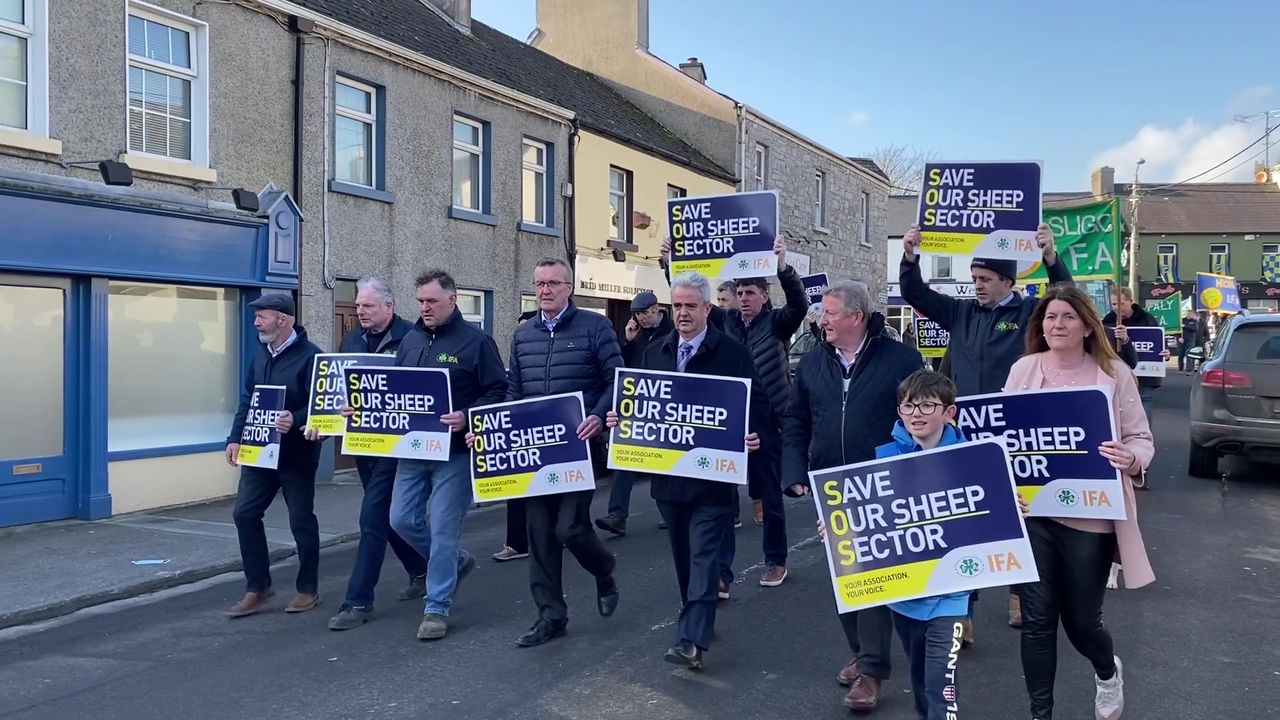 Video: Sheep farmers protest out of 'pure necessity'