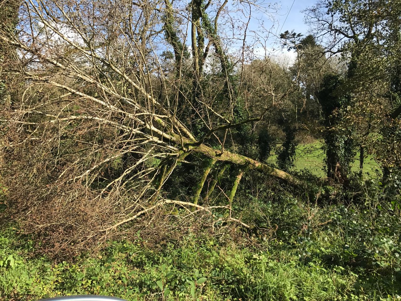 Farmers again urged to prioritise safety in storm repairs