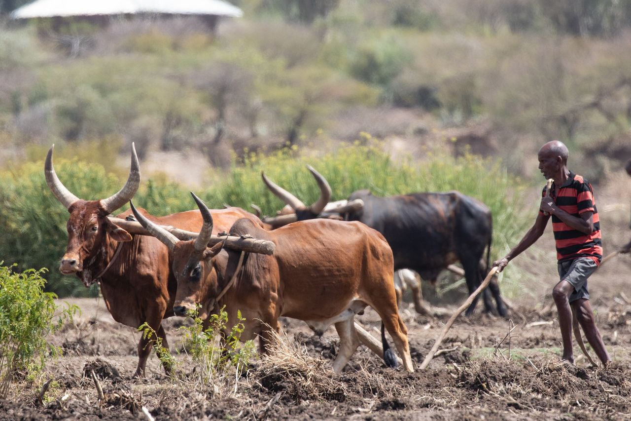 €12.5m in Irish Aid funding announced for farmers in developing countries