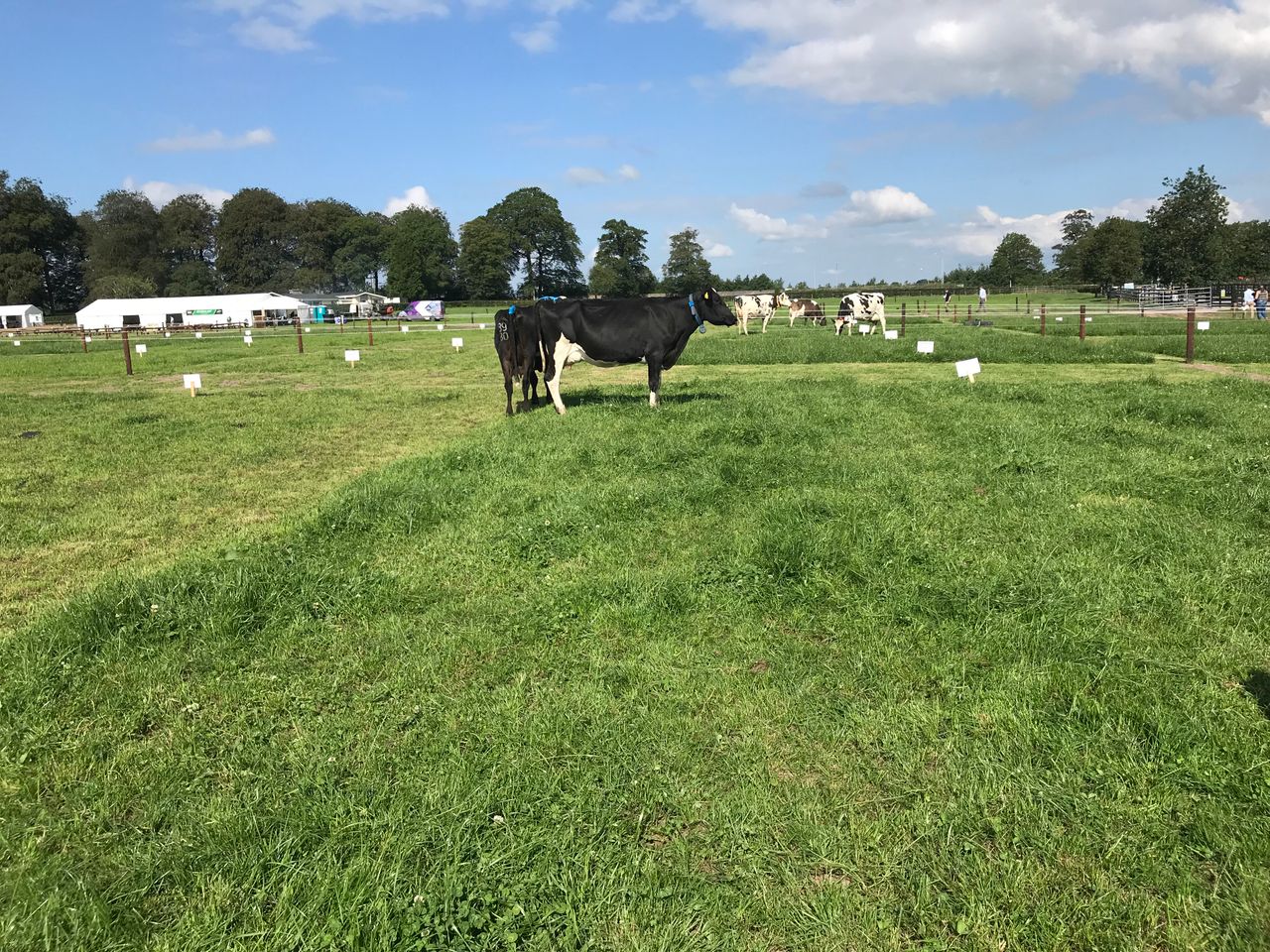 Moorepark '19: 'If you don't measure it, you can't improve it'