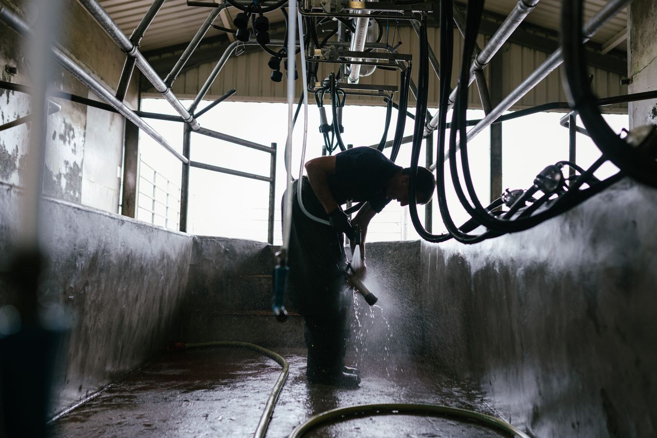 Quality Milk Awards series: From pharmacy to parlour