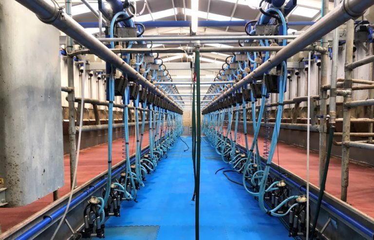 Retailers criticised for milk marketing strategies