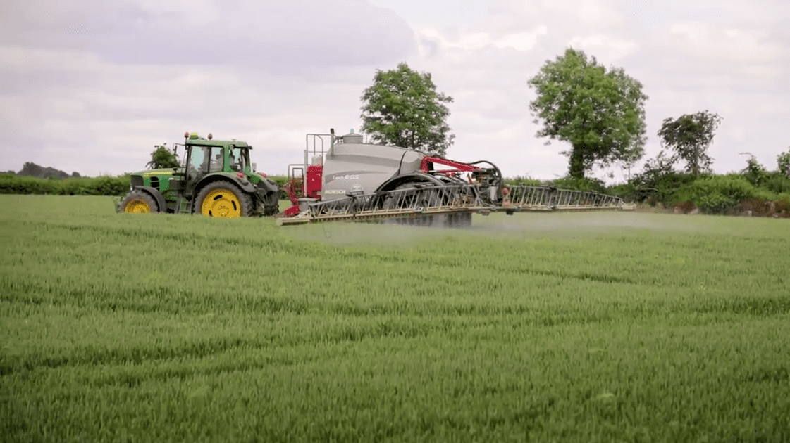 Tillage: Autumn weed control in cereals