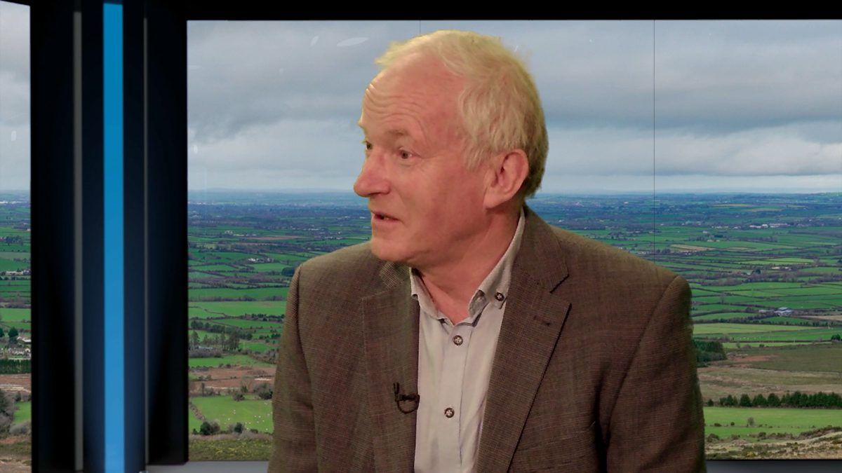 'Cows are not risk-takers': Vet explains causes of lameness