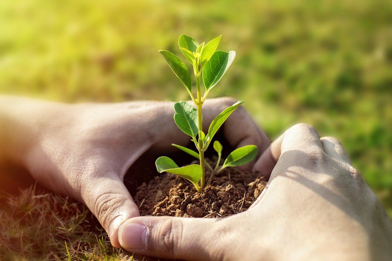 Rural Independents: Govt needs to 'empower' rural communities