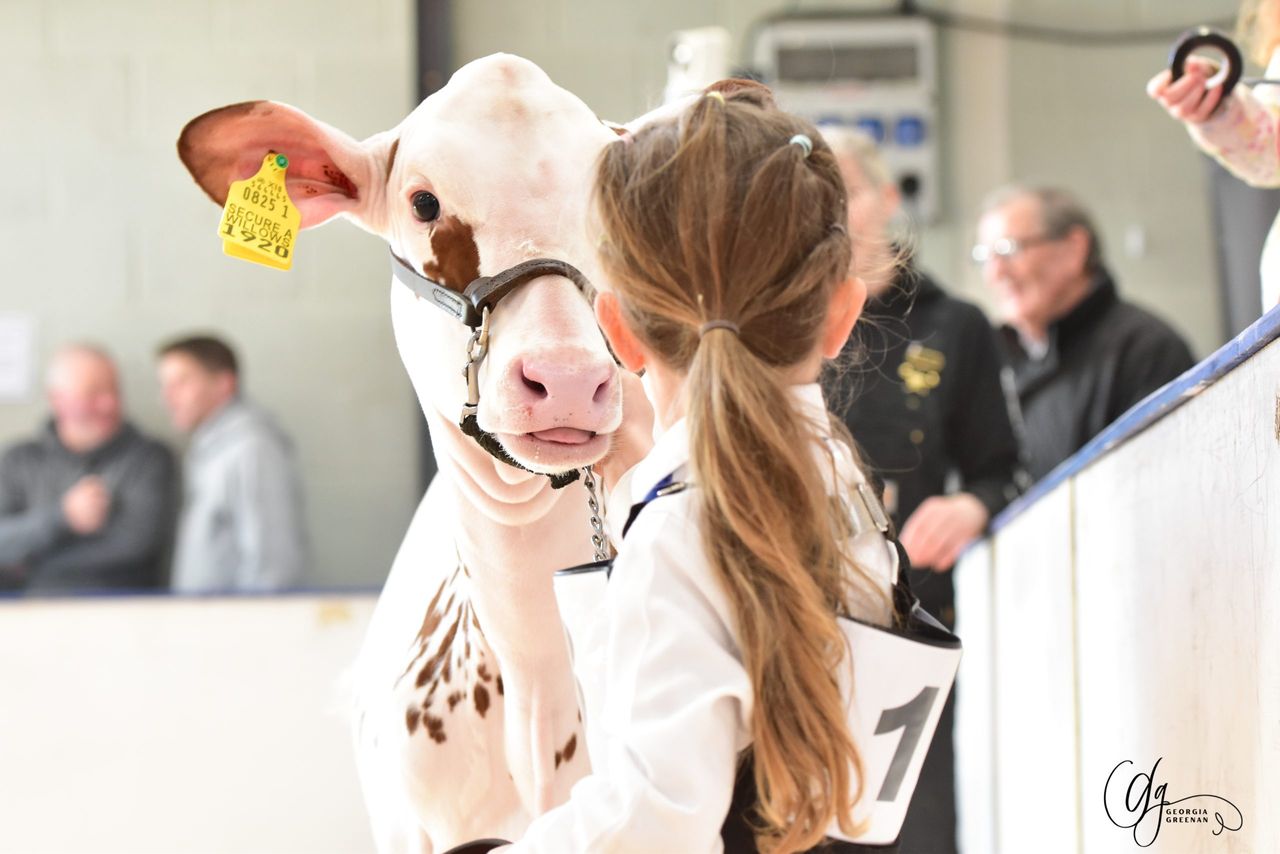 Highlights from the 2026 Emerald Expo