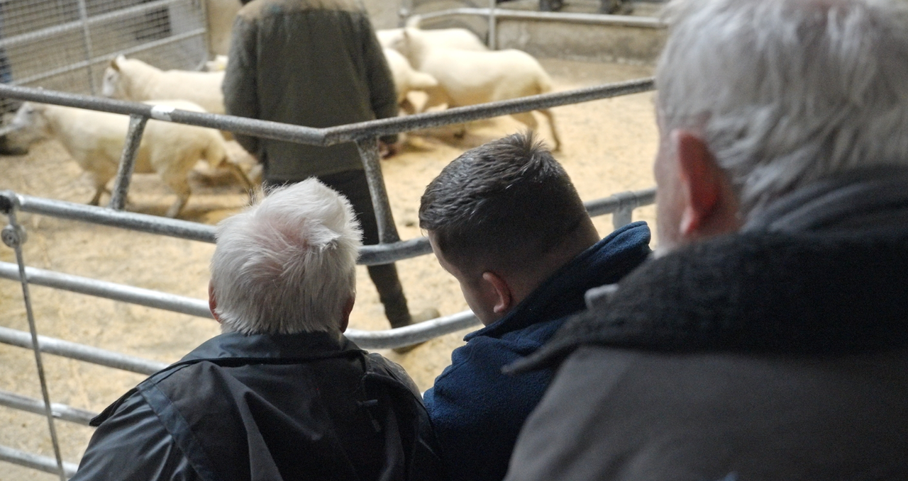 Watch: Budget 2026 - What are farmers at the mart saying?
