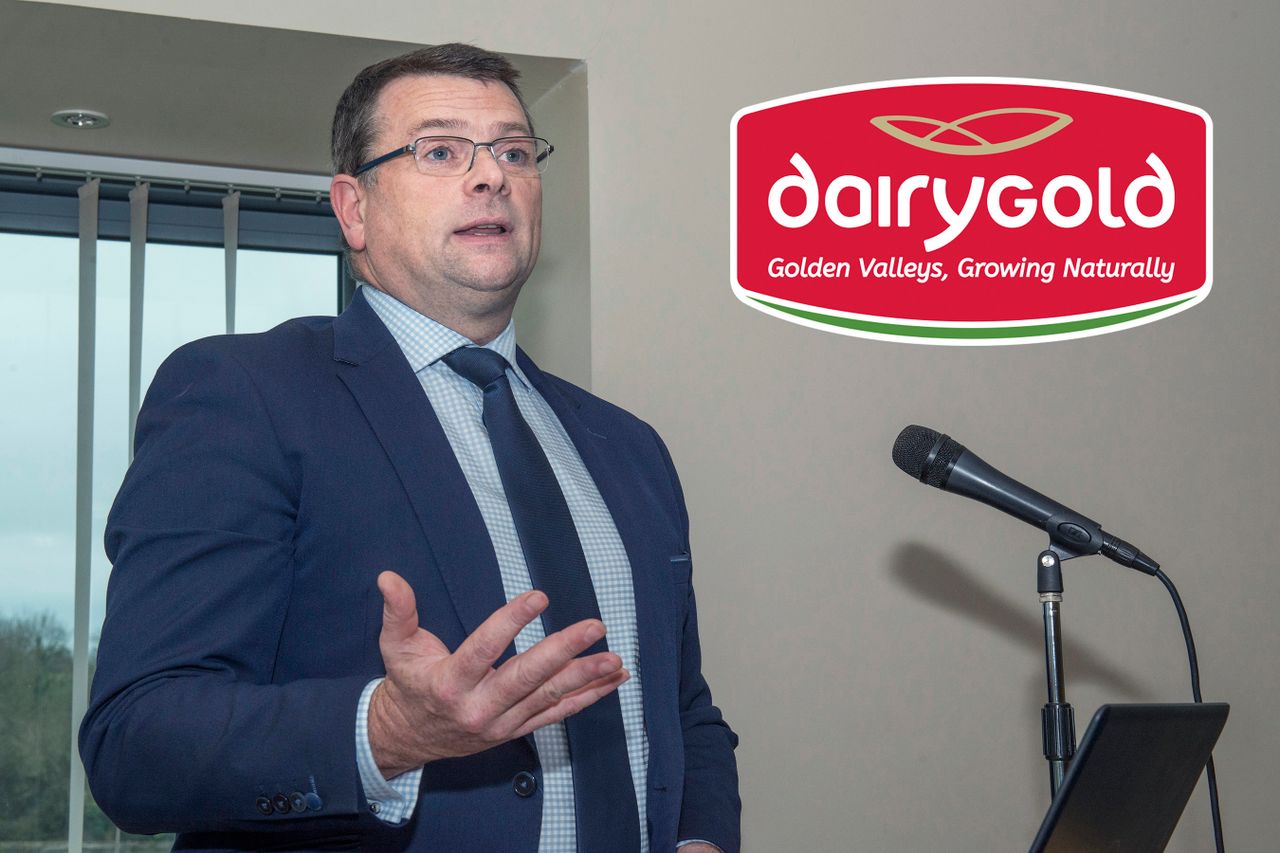 Dairygold reveals its 2021 bean contract price