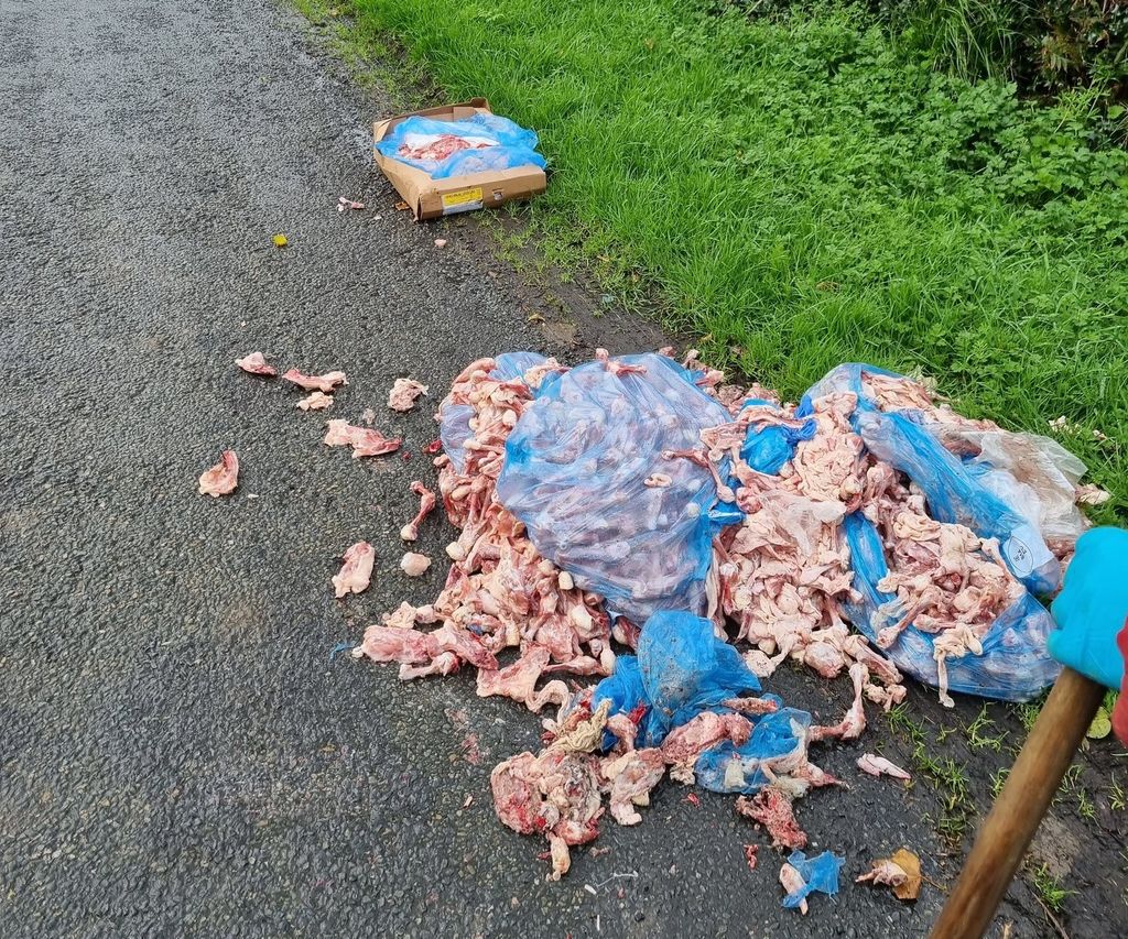 Picture of the dumped chicken bones and meat outside the farm. Image: Shane Corbally Twitter