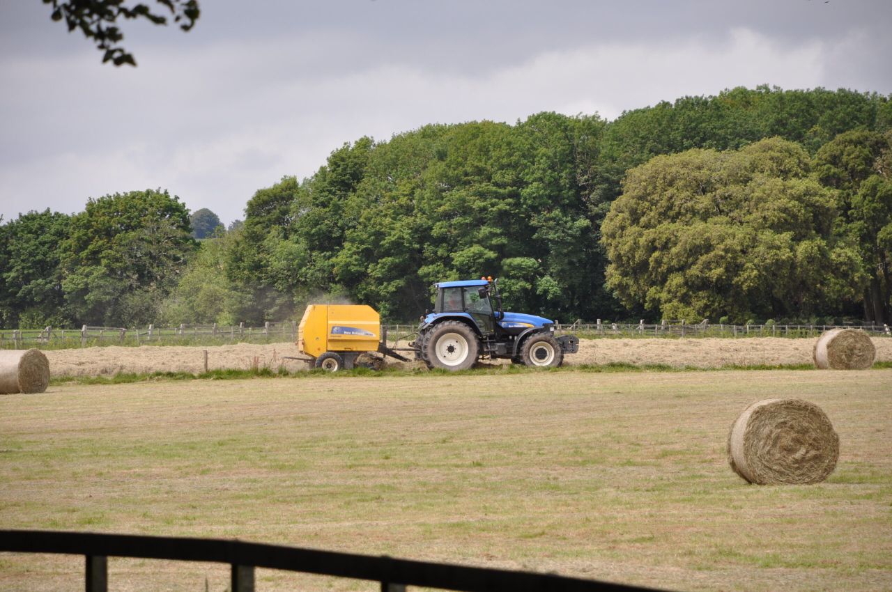 Map: How much does a 4X4 round bale of hay cost?