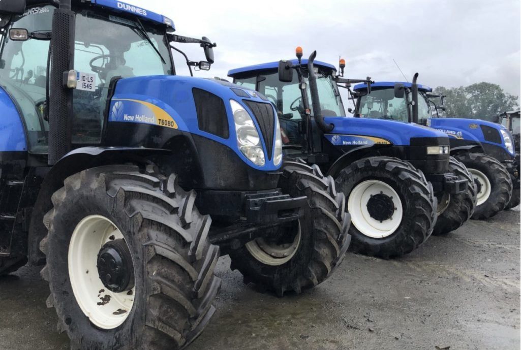 Auction report: Brace of 'blues' at 'on-farm' sale in Co. Kilkenny