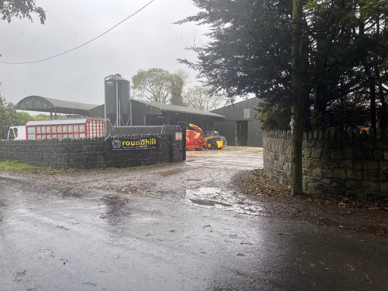 Roundhill Limousin in Fedamore, Co. Limerick