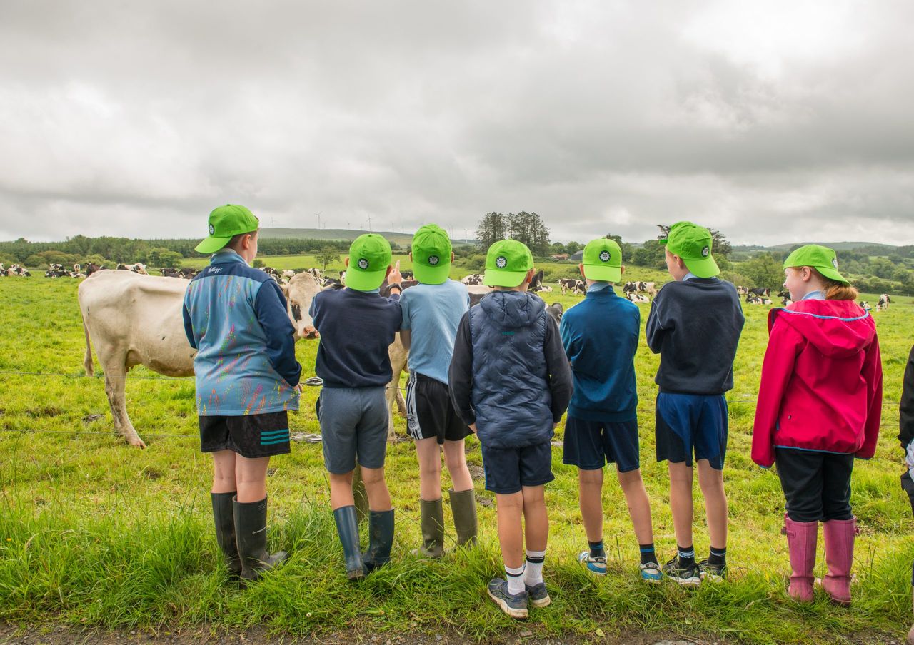 Public trust in Irish dairy farmers increases - NDC