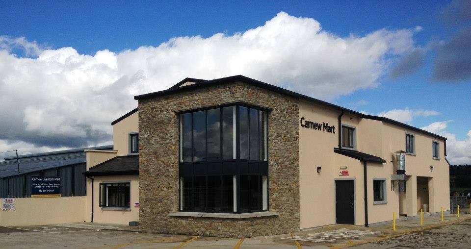 Record prices achieved at Carnew, as hoggets hit €163/head