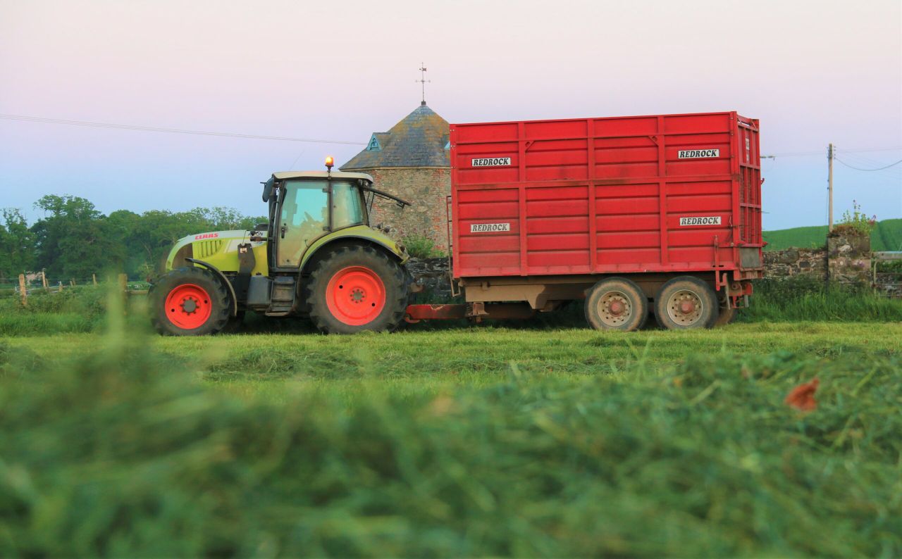GrassCheck: Growth stalls as NI sees biggest extremes in 10 years
