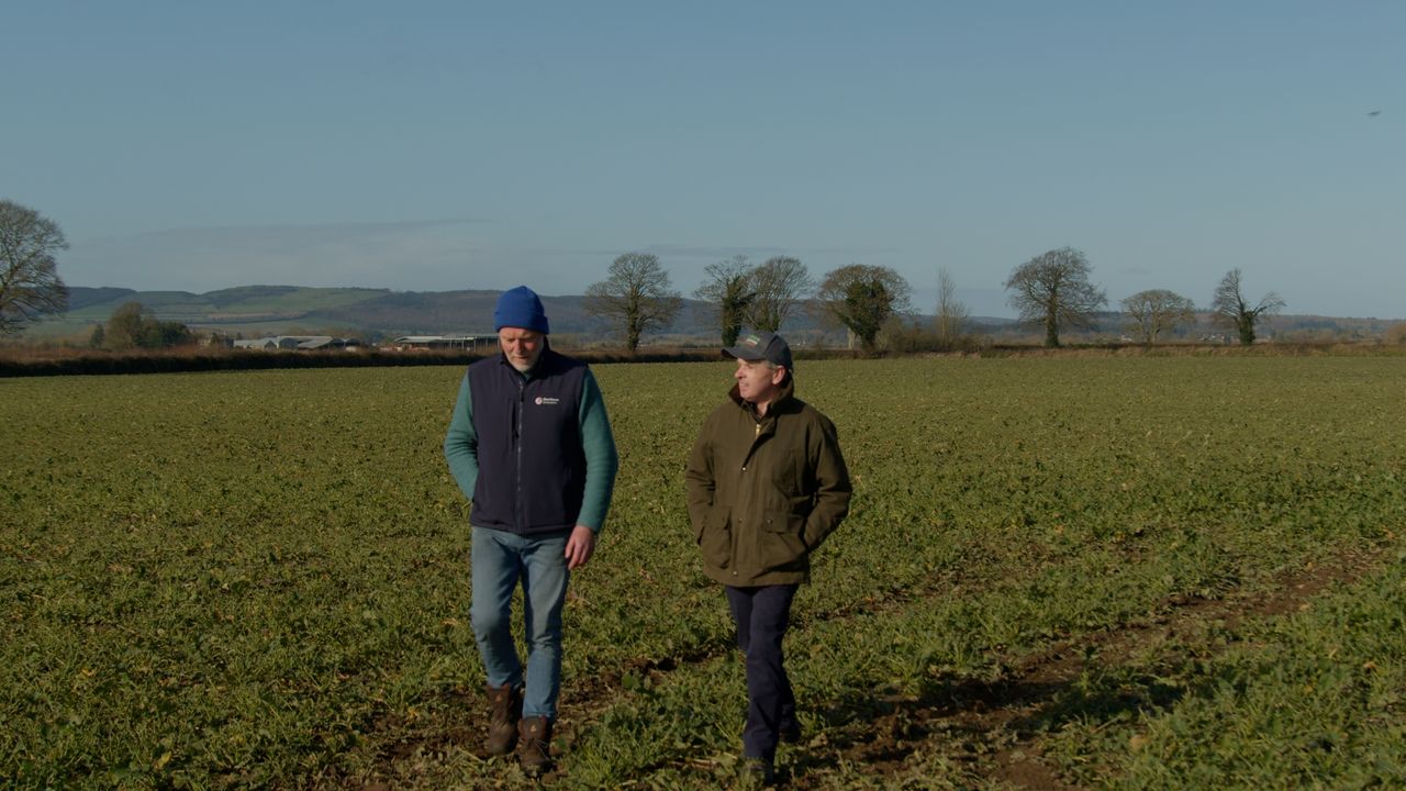 Watch: New IGGG chair urges more financial support for tillage