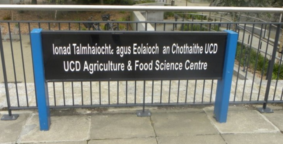 UCD School of Agriculture set to host information event on masters' programmes - online