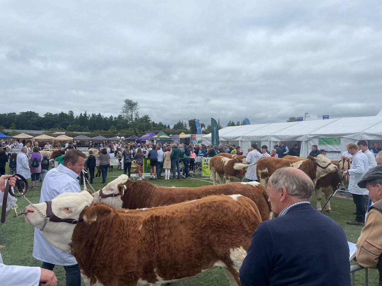 82nd annual Virginia Show kicks off in Cavan