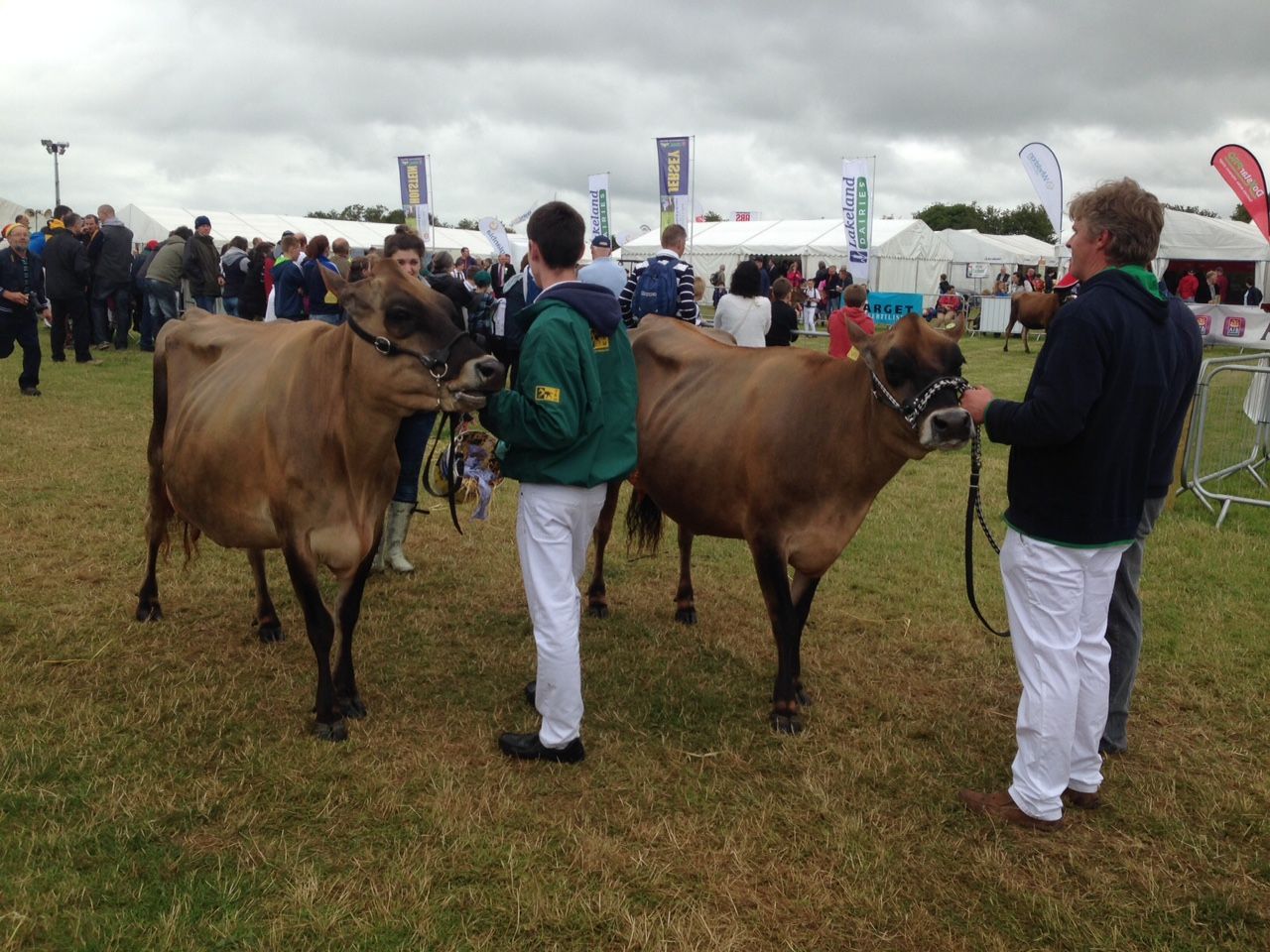 Tullamore Show Results 2015