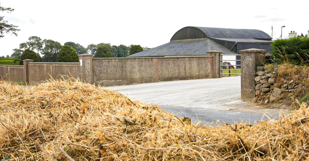 Deadline for FBIS-C Tier 2 Tranche 2 applications extended