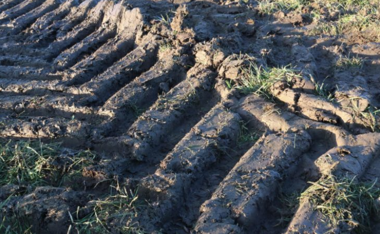 Soil compaction is a constant challenge on grassland farms