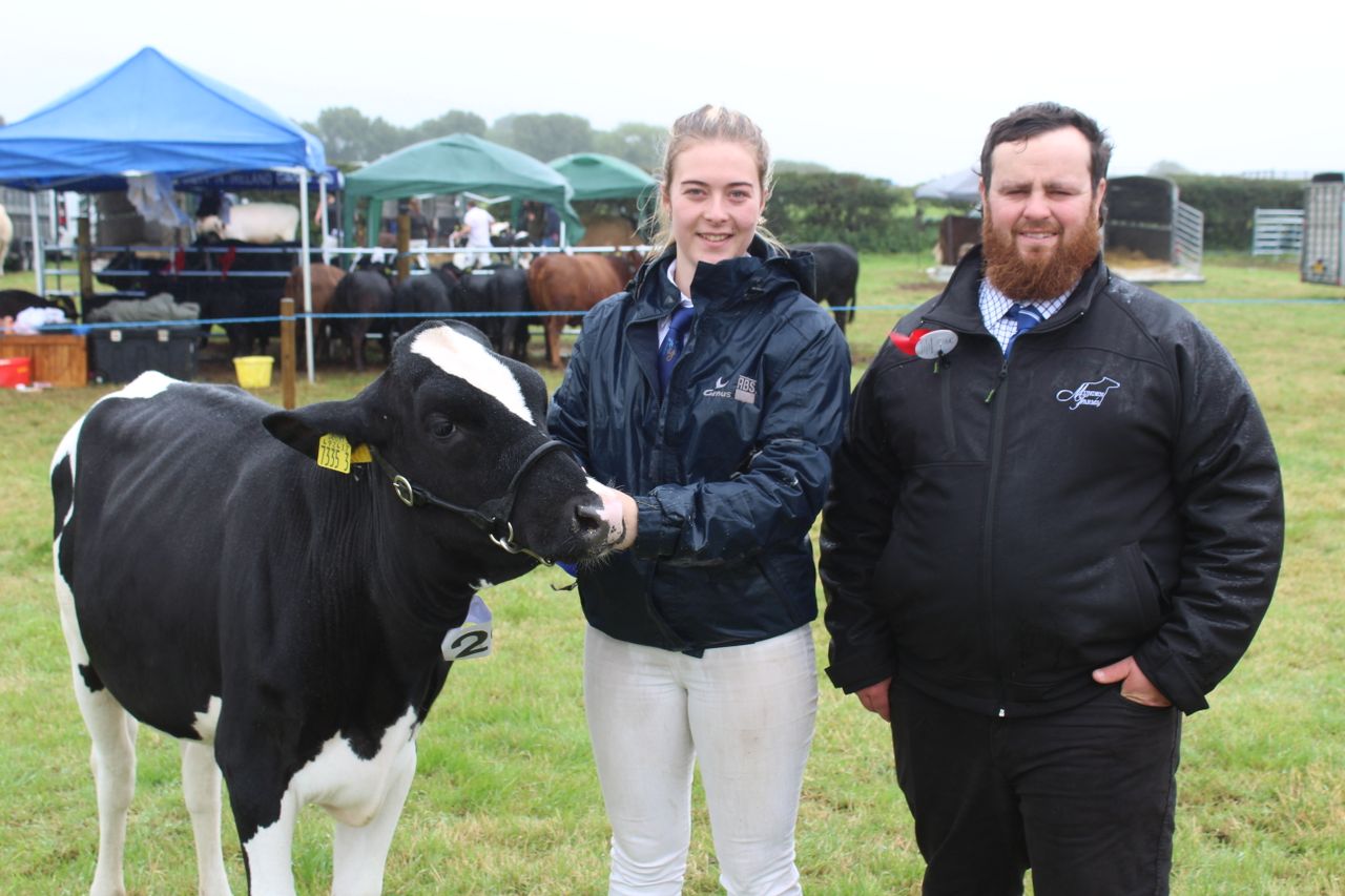 Grazing 650 dairy cows year-round in south Australia