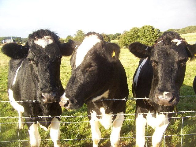 'North Tipp inspection concerns need to be confronted - countrywide'
