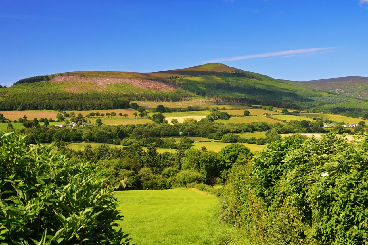 Govt: Review of Climate Action Plan shows progress