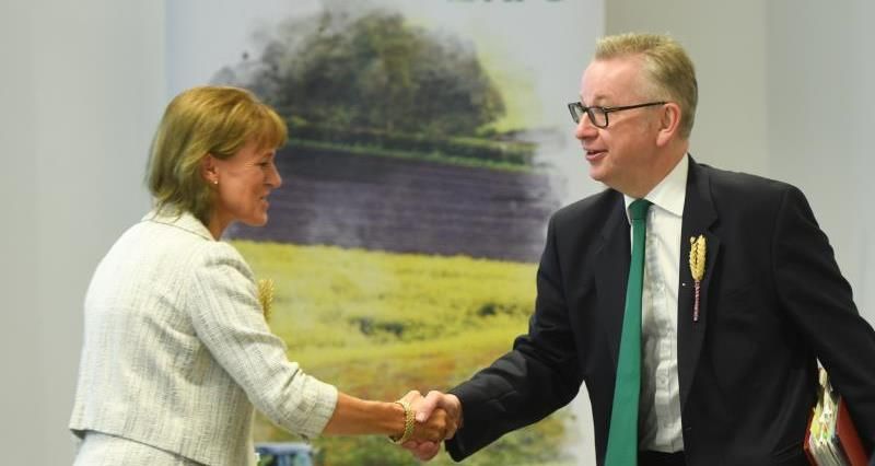UK Government urged not to undermine food standards in trade deals