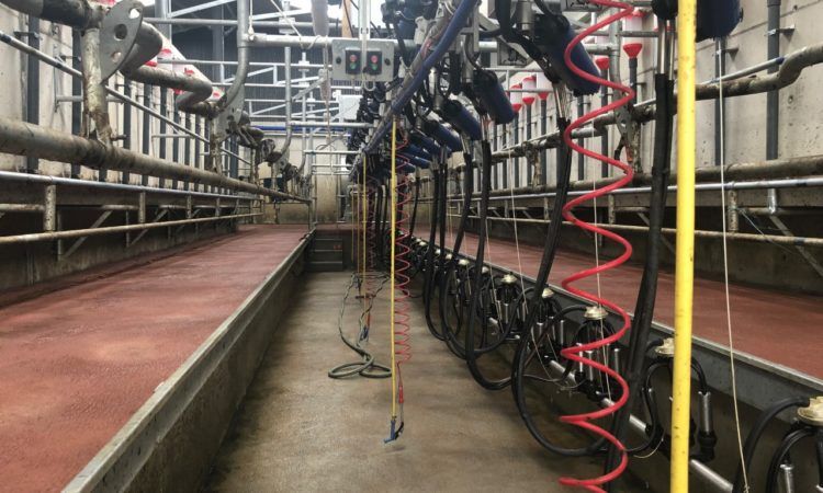 Back In Focus: Milking 80 cows through a brand new 20-unit parlour in Co. Tipperary
