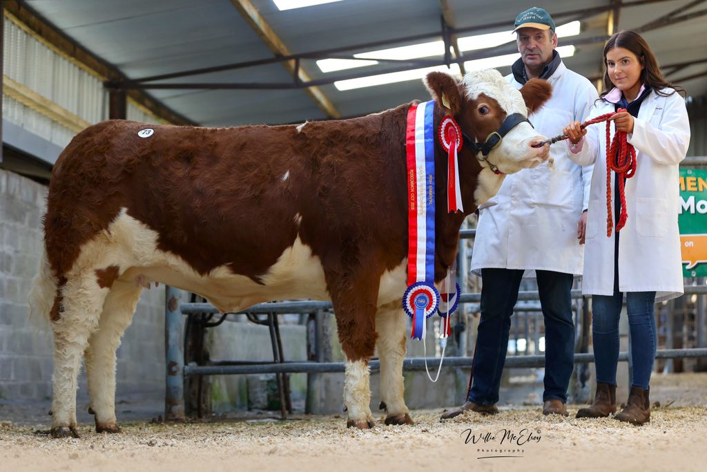 Bridgemount Sweet Pie topped the heifer section at €13,500 for William and Aisling O`Riordan from Rathcormac, Co. Cork at last year's premier