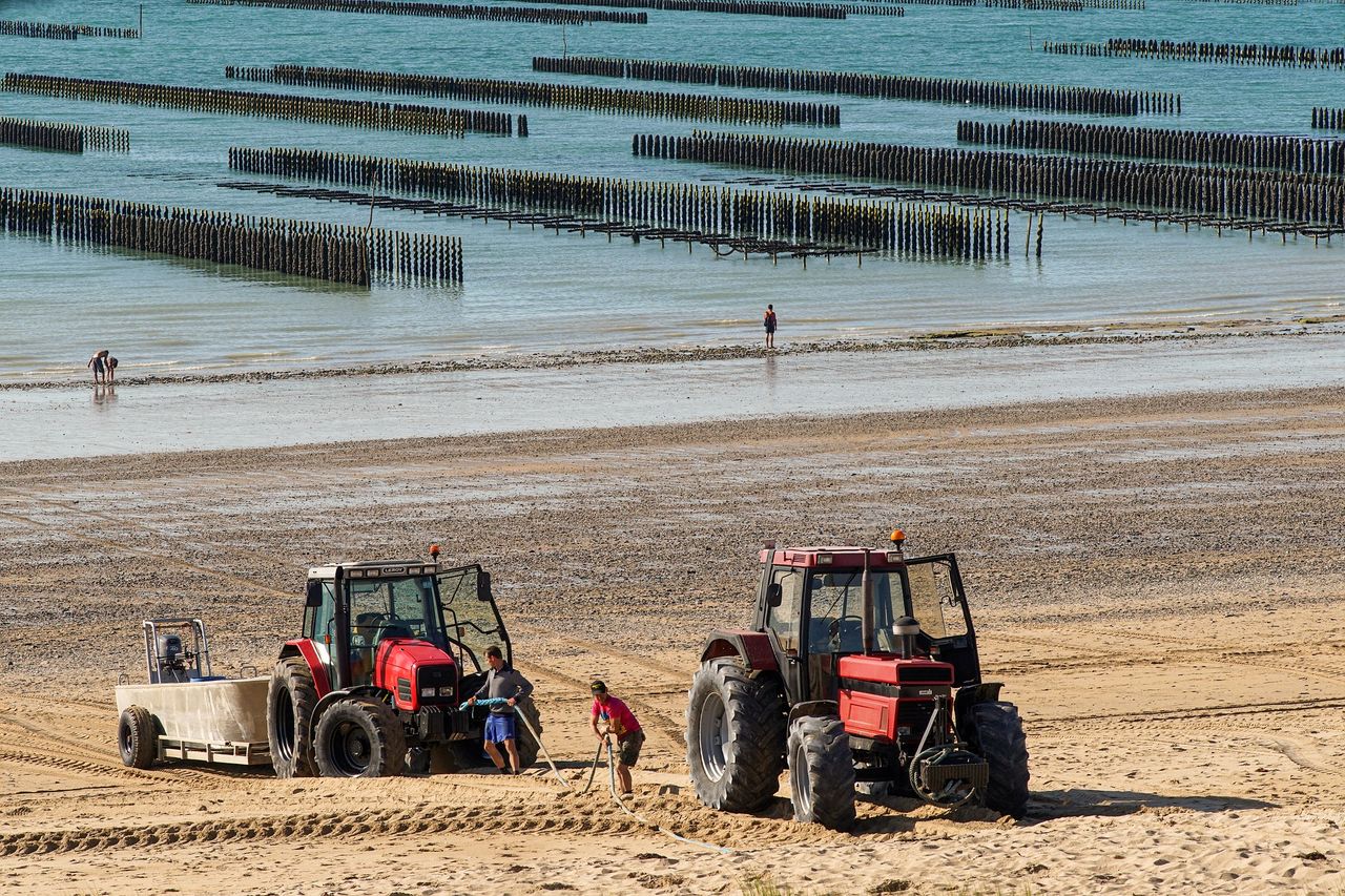 McConalogue announces details of aquaculture support scheme