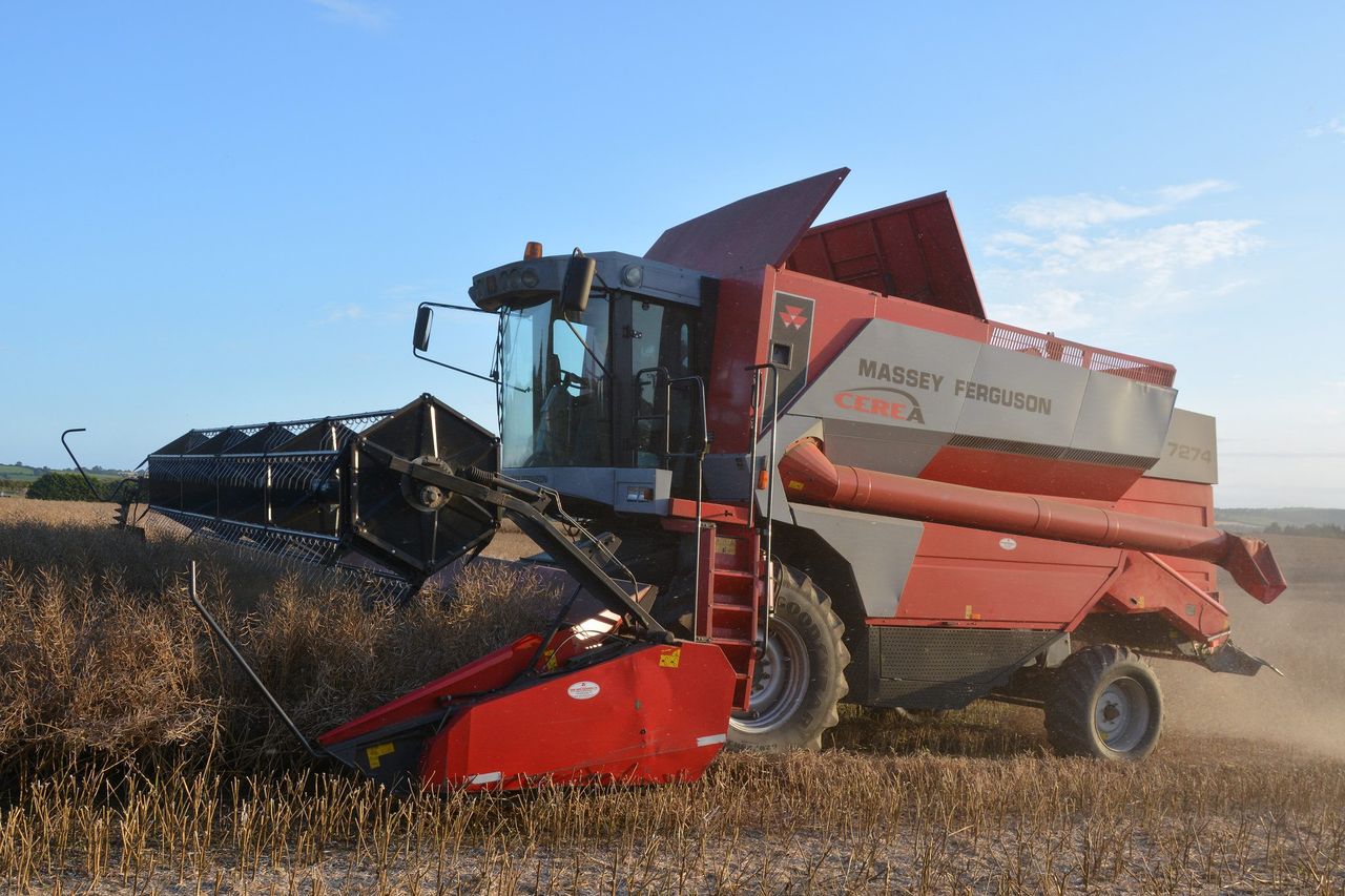 €380/t oilseed rape contract available for harvest 2018