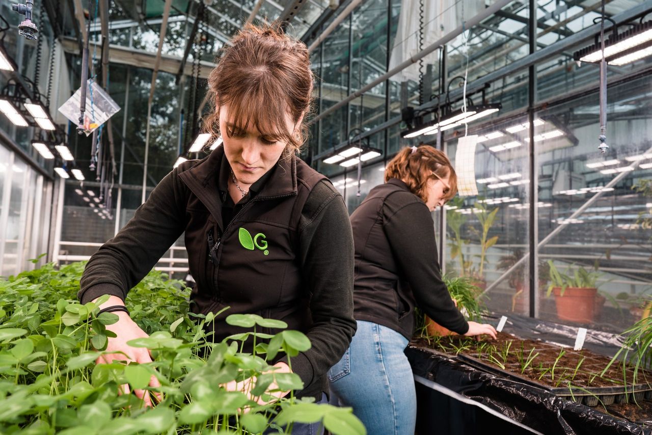 Germinal invests in R&amp;D with machinery and researchers