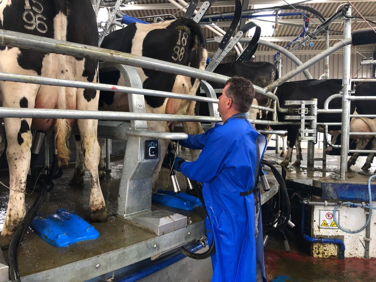 Liquid milk supplies rise but farmer numbers drop in 2019