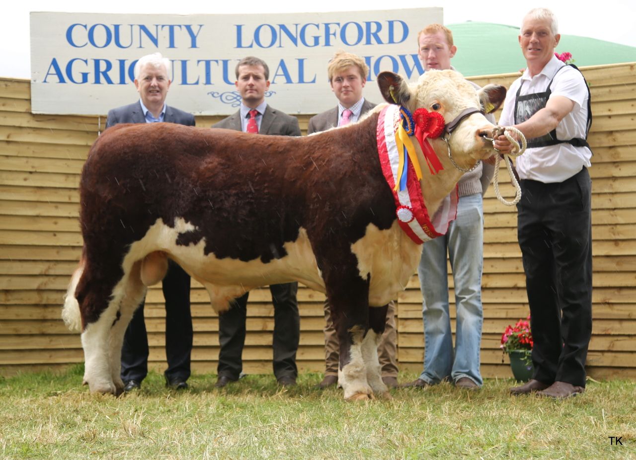 Pics: Herefords out in force at the Longford Show