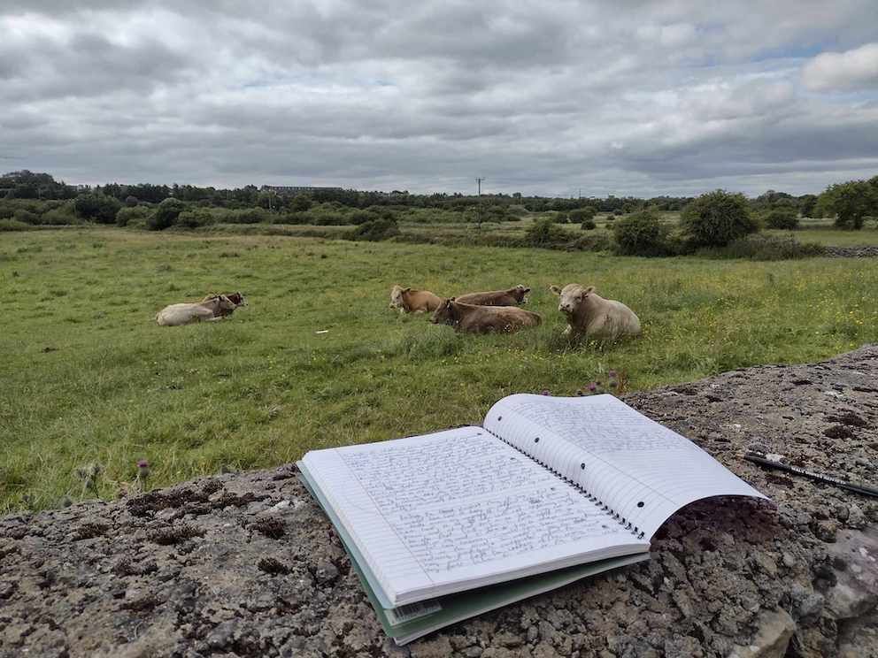 Submissions sought for 2025 Best in Rural Writing contest