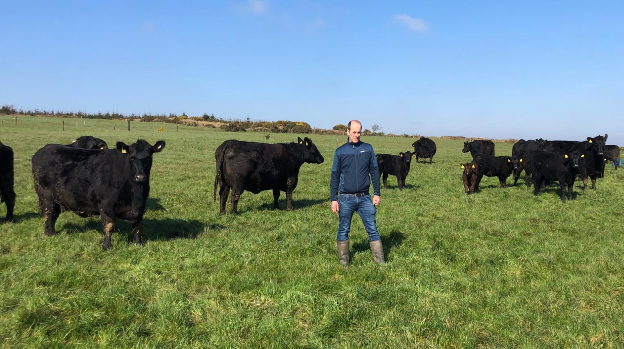 Cork farmer appointed head of Angus breed in Europe