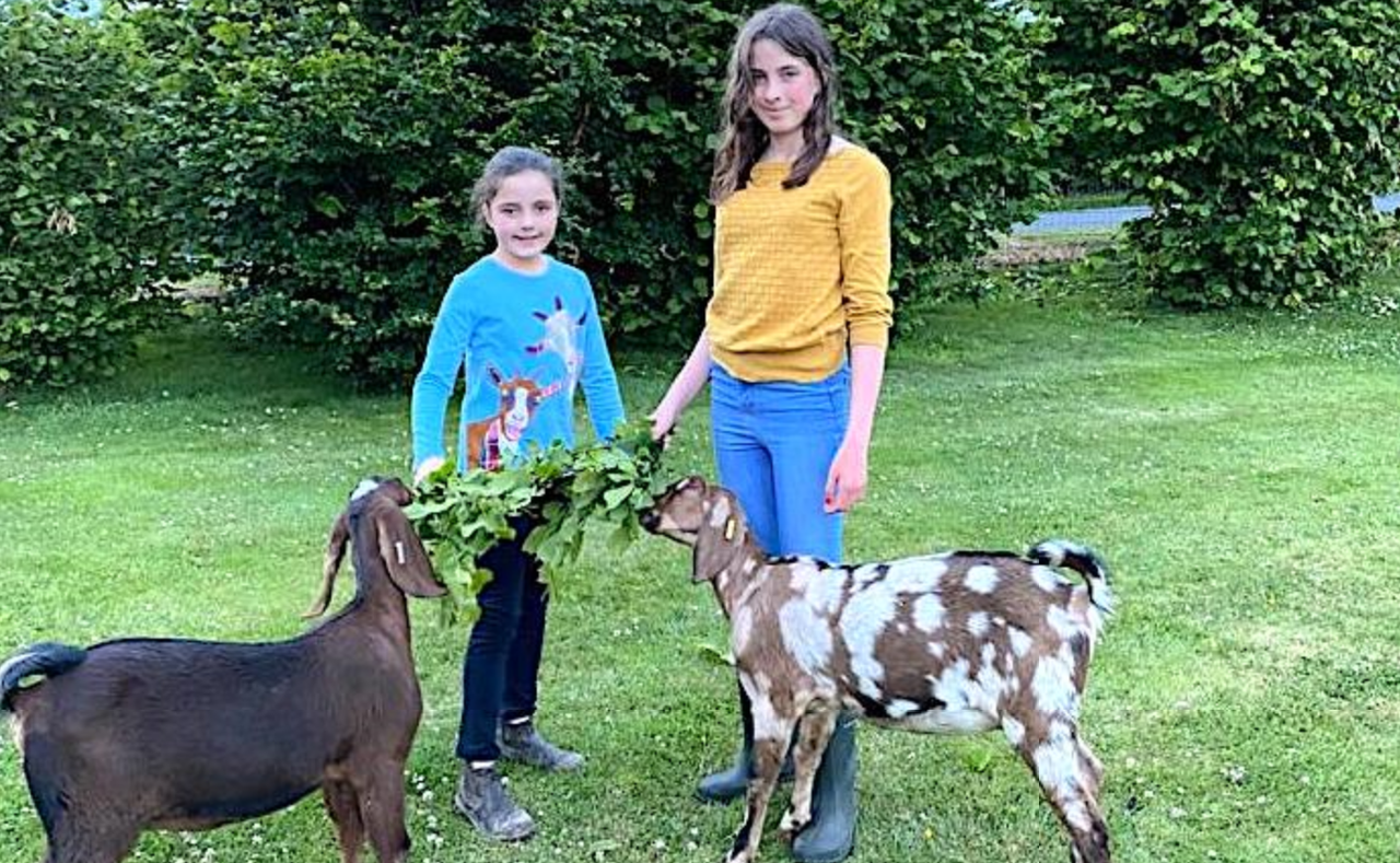 What's planned for 2021 Virtual Farm Weekend?