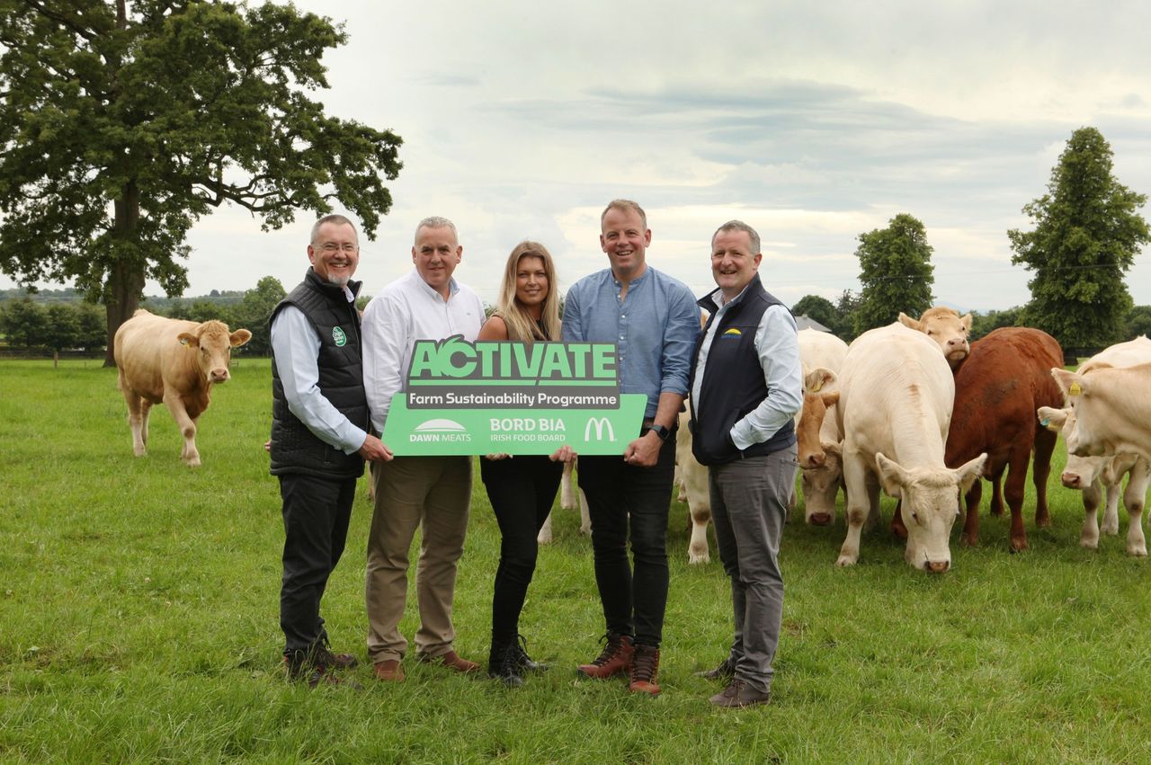 Dawn Meats and McDonald's launch €4.4m farm sustainability plan