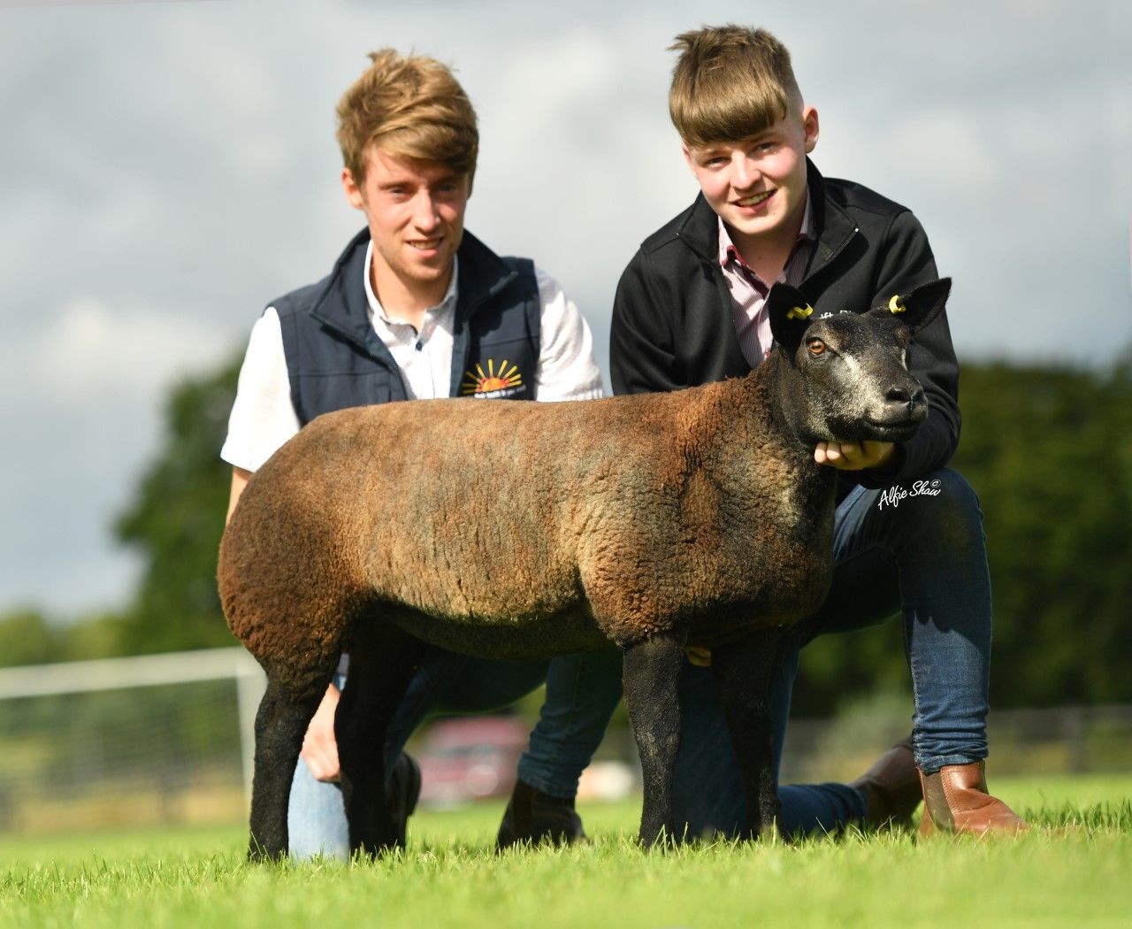 Galway brothers take home the top price at the Irish Blue Texel premier sale