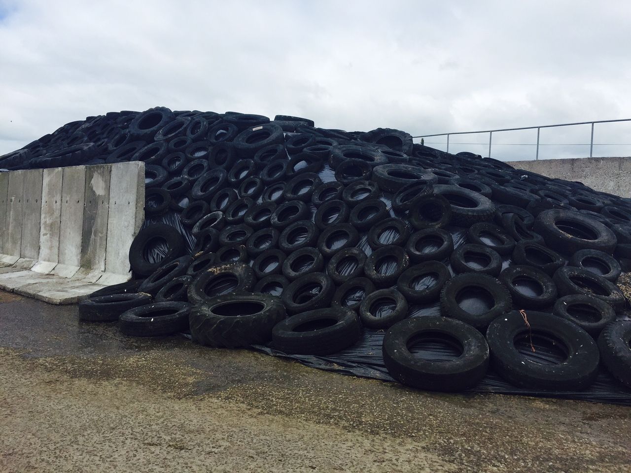 Completing a fodder budget after first-cut silage