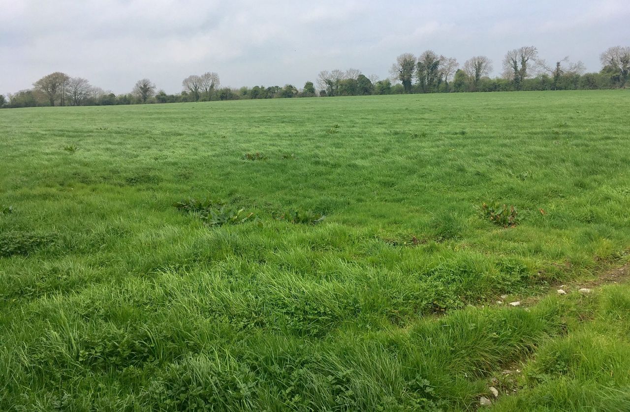 How expensive was EU agricultural land in 2023?