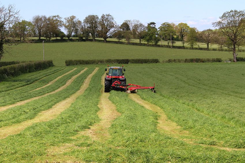 See the grass growth figures of a top dairy farm