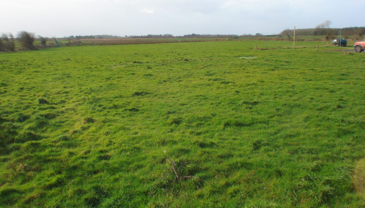 Co. Kerry holdings to go for public auction in April