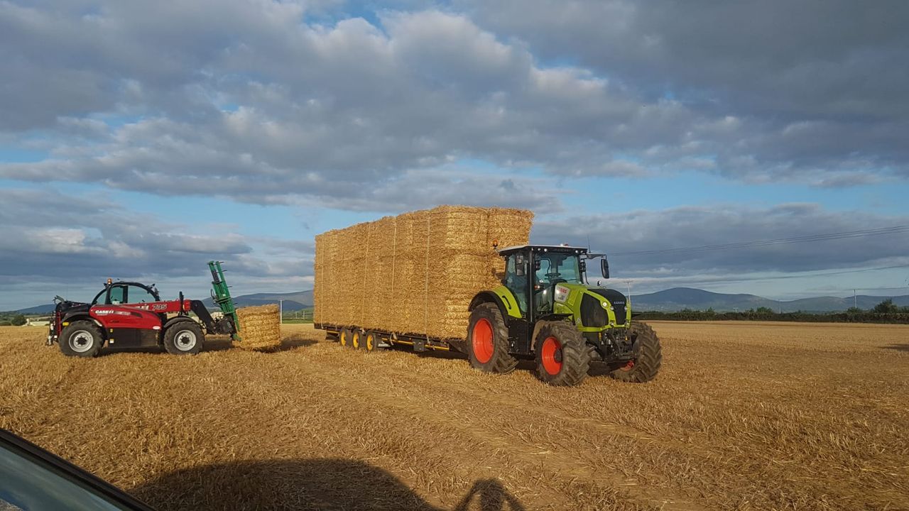 Straw: Demand strong, but early days for prices