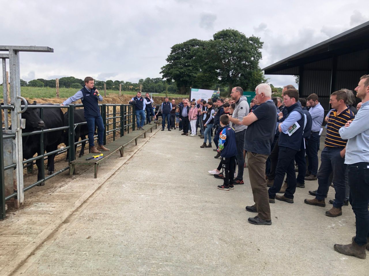 ABP Demo Farm: 'Genetics should determine calf price, not looks'